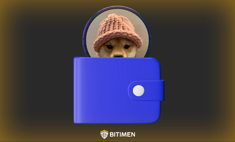 بهترین کیف پول ارز WIF